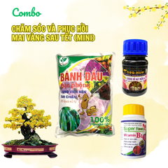 Combo chăm sóc và phục hồi mai Tết (Mini) - Tại CH TP. HCM