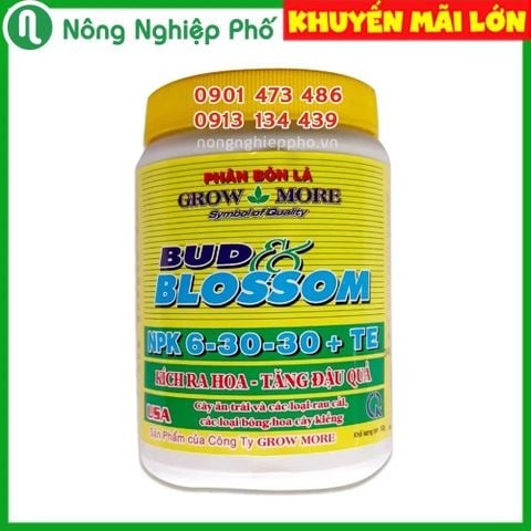 Giai đoạn lan thắt ngọn nên sử dụng phân thuốc như thế nào? | Nông Nghiệp Phố