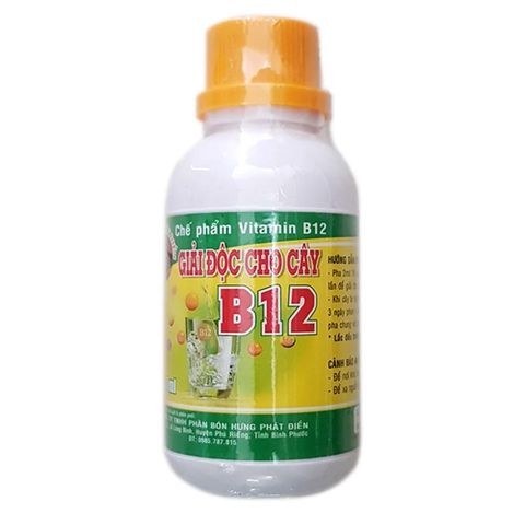 Cây đang phát triển bình thường sau khi phun thuốc để phòng bệnh, bón phân cho cây một, hai ngày thì lá bị biến màu xuất hiện những vết cháy lá, rễ quéo lại, ngọn mềm rũ là cây đang bị gì?