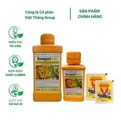 Reasgant 3.6EC – Phòng trừ sâu bệnh phổ rộng hiệu quả cây trồng